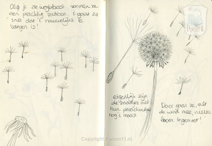 illustratie schets 