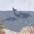 Behang met dolfijnen en onderwaterwereld, kinderbehang.