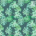 Behang, kinderbehang met monstera bladeren in groen tinten.
