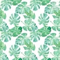 Behang met monstera bladeren, kinderbehang, groen en wit.