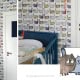 Behang met kattenmotief, kinderbehang voor kinderkamer.
