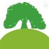 Kinderbehang met groen en blauwe kleuren, fantasievol ontwerp.