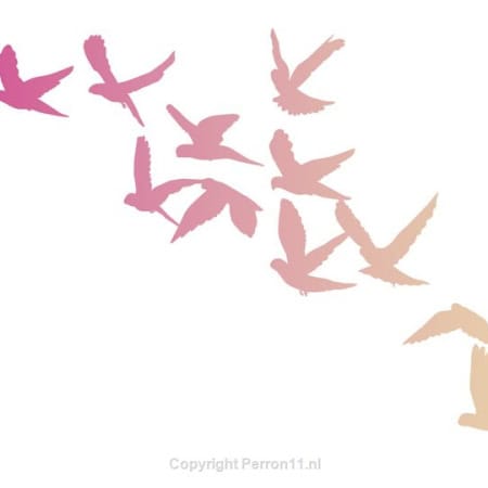 Behang, kinderbehang met roze en gele vogels in vlucht.