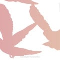 Behang, kinderbehang met roze en gele vogels.