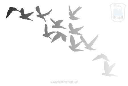 Behang, kinderbehang met silhouetten van vliegende vogels.