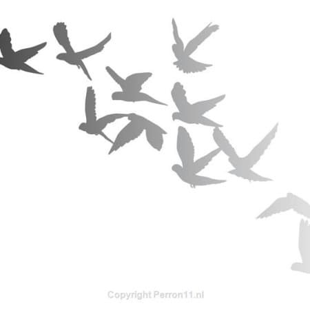 Behang, kinderbehang met silhouetten van vliegende vogels.