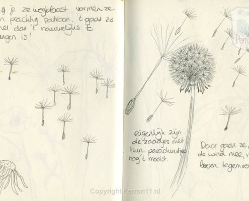 Behang, kinderbehang met dandelion bloemen en zaden.